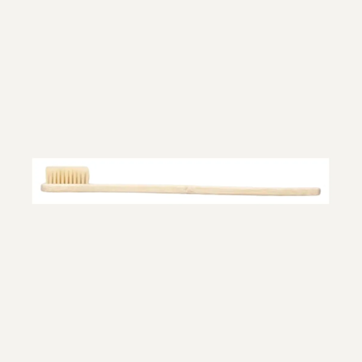Compact travel toothbrush